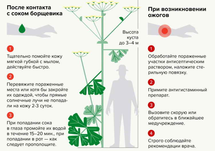 Фельдшерско‑акушерский пункт с.&nbsp;Бияваш